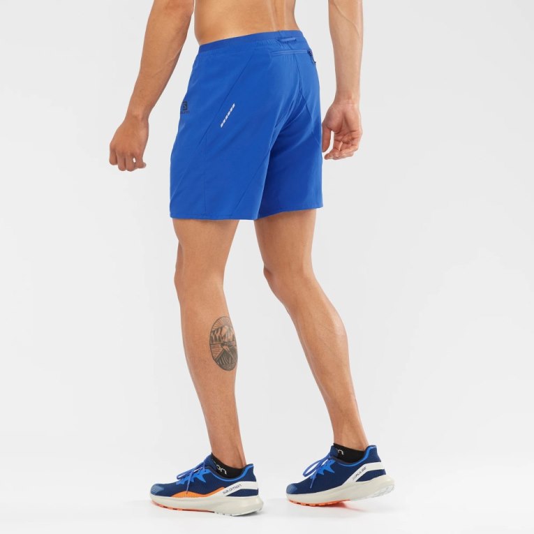 Blue Salomon Cross 7'' Men's Shorts | PH 85073F